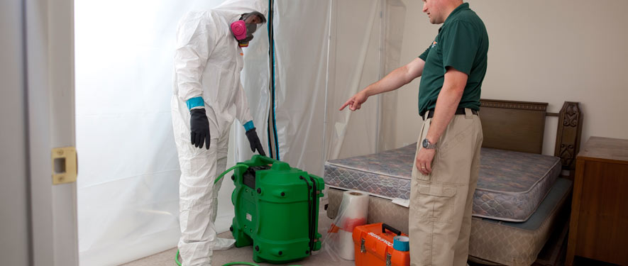 Fairfax, VA mold removal process